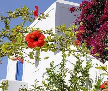 Moschoula Parikia (Paros)
